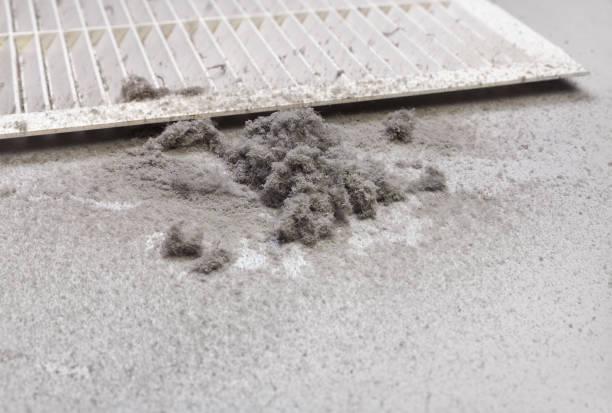 Best Home Air Vent Cleaning  in Mosinee, WI