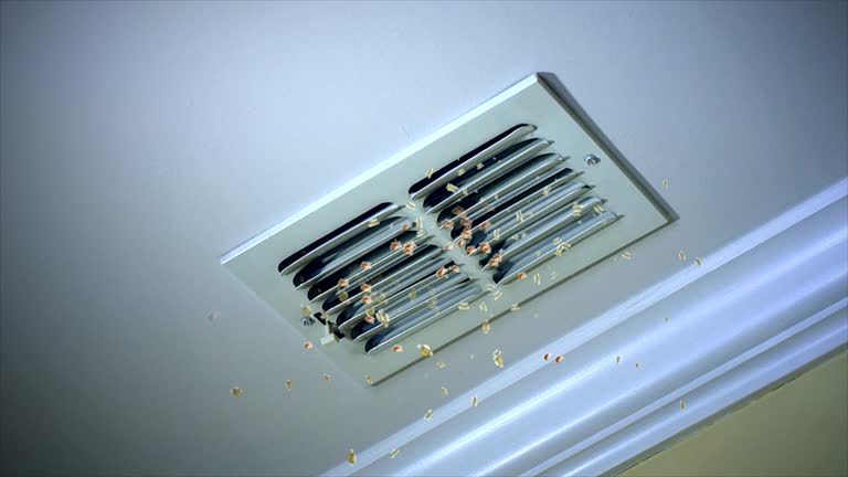 Trusted Mosinee, WI Airduct Cleaning Experts